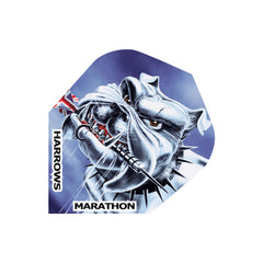 Marathon Flights